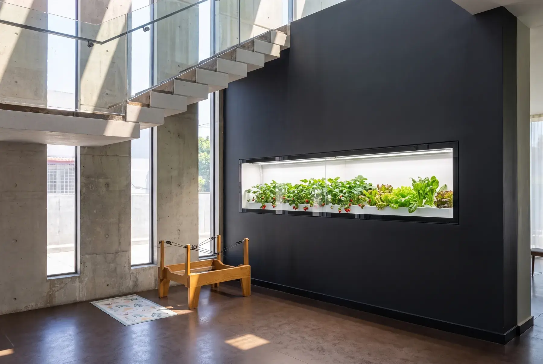 A Cubictree growing unit built into a wall beside a concrete staircase