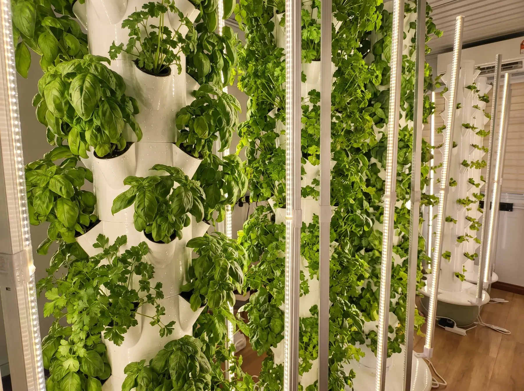 Basil and parsley in Farm Foundry's tower pockets